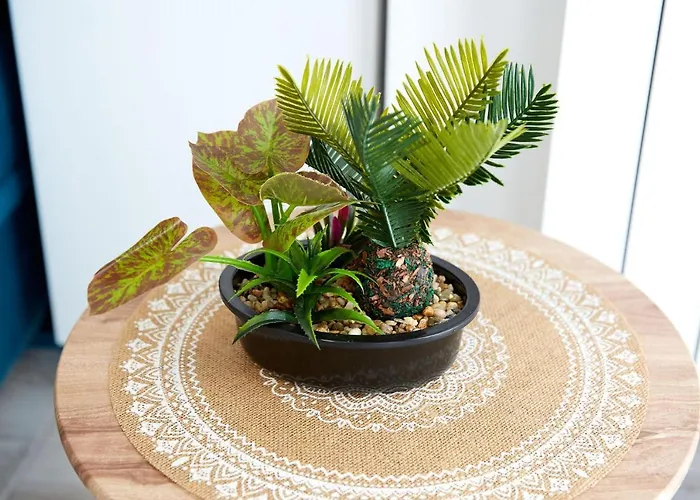 Mng Tomis Promenada 2 *