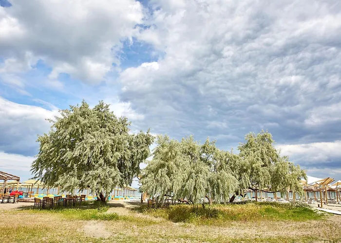Apartmán Mng Tomis Promenada 2 *